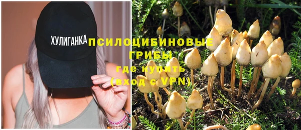 твердый Баксан