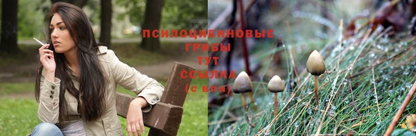 дурь Балахна